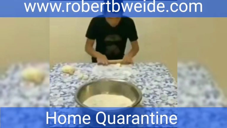 Robert B. Weide Season 1 Episode 14 – Home Quarantine 