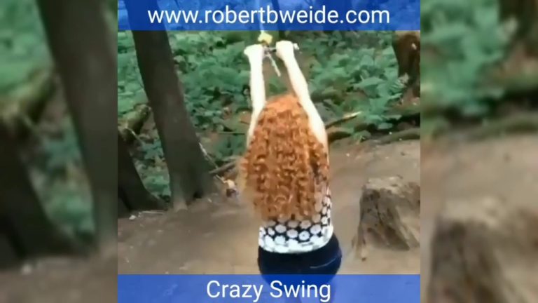 Robert B. Weide Season 1 Episode 15 – Crazy Swing