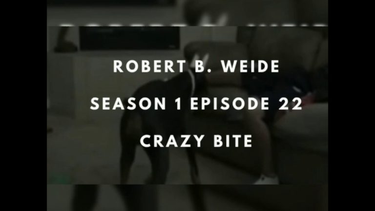 Robert B. Weide Season 1 Episode 22 – Crazy Bite