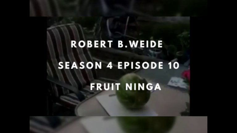 Robert B.Weide Season 4 Episode 10 – Fruit Ninja
