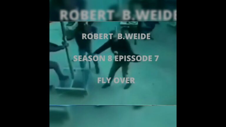 Robert B.Weide Season 8 Episode 7 – Fly Over