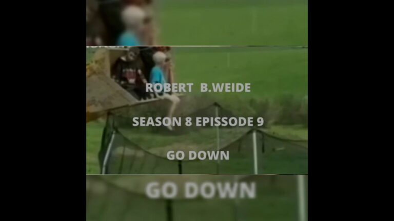 Robert B.Weide Season 8 Episode 9 – Go Down