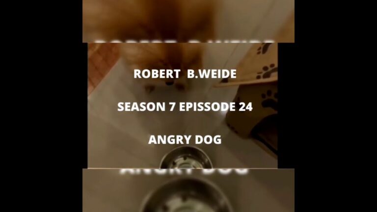 Robert B.Weide Season 7 Episode 24 – Angry Dog